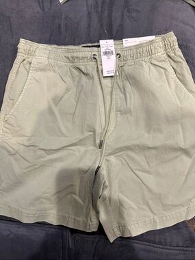 American Eagle Outfitters Light Sage Drawstring Shorts